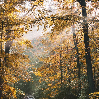 Astrid Svennes Jensen